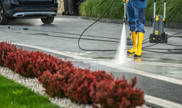 Best Building Exterior Washing  in Wayne, MI